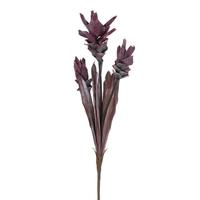 Vickerman 28.5" Artificial Red Siam Tulip (2 Pack)