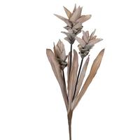 Vickerman 28.5" Artificial Cream Siam Tulip (2 Pack)