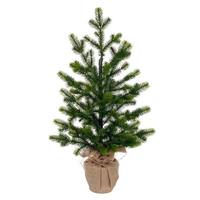 Vickerman 24" x 14" Cobby Spruce Tree Burlap 192 Tips Burlap Base