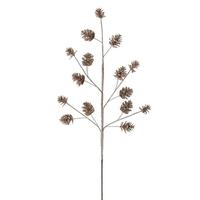Vickerman 24" Champagne Pinecone Glitter (6 Pack)