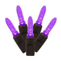 Vickerman 70 Light 24' Brown Wire Purple M5 Faceted LED String Light Set with 4" Spacing