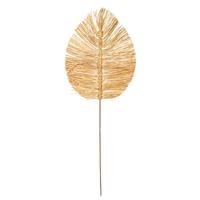 Vickerman 24"-30" Bleached Craftd Bamboo Spear (6 pack)