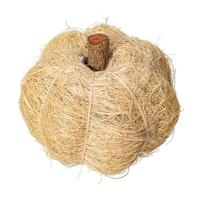 Vickerman 2.5"-3" Bleached Coconut Coir Pumpkin (24 Pack)