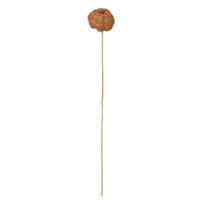 Vickerman 20" Coconut Coir Pumpkin Stem (12 Pack)