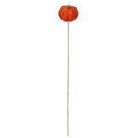 Vickerman 20" Autumn Coconut Coir Pumpkin Stem (12 Pack)