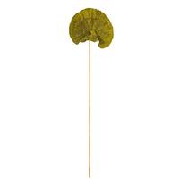 Vickerman 4"-6" Basil Sponge Mushroom Stem (24 pack)