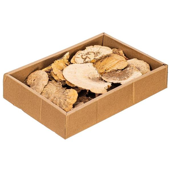 4"-6" Natural Sponge Mushroom (24 pack)
