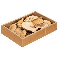 Vickerman 4"-6" Natural Sponge Mushroom (24 pack)
