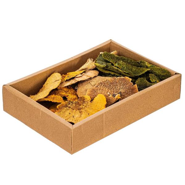 4"-6" Natural/Aspen Gold/Basil Sponge Mushroom (24 pack)