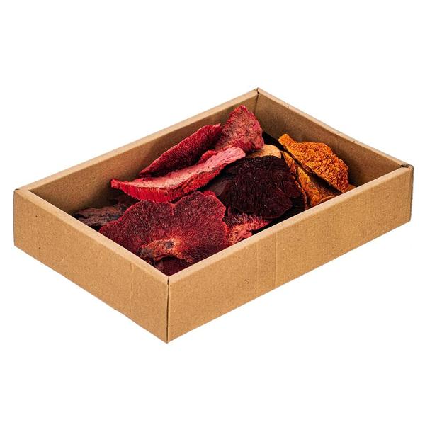 4"-6" Orange/Red/Brown Sponge Mushroom (24 pack)