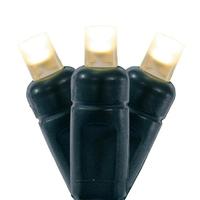 Vickerman 50 Light 25' Green Wire Warm White Frosted LED Christmas Light Set