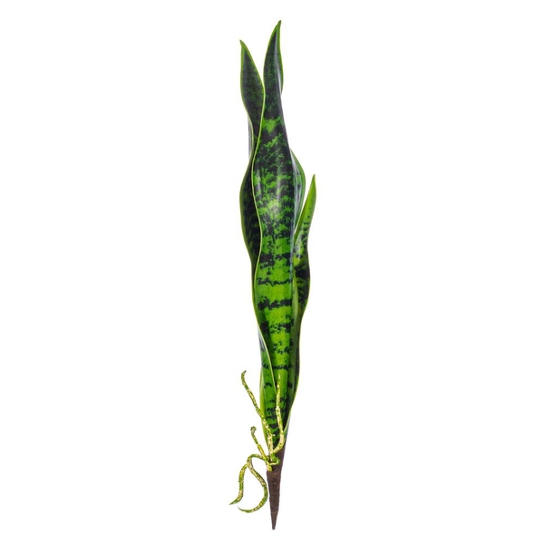 18" Artificial Green Sanseveria Pick (6 pack)