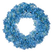 Vickerman 20" Real Touch Artificial Blue Hydrangea Wreath