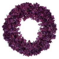 Vickerman 20" Real Touch Artificial Burgundy Hydrangea Wreath