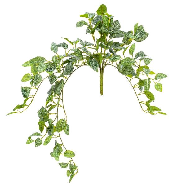 29"" Artificial Fittonia Bush 