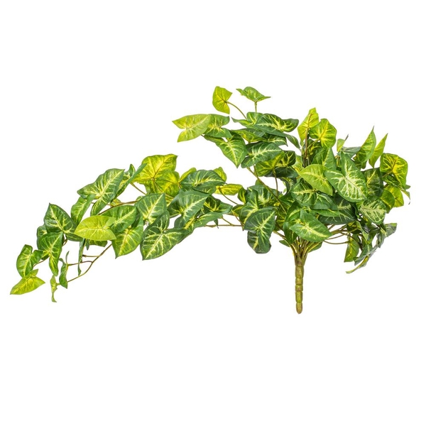 25" Artificial Green Syngonium Bush 