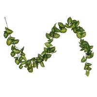 Vickerman 72" Green Syngonium Artificial Garland