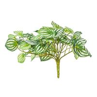 Vickerman 11" Artificial Green Watermelon Peperomia Bush (2 Pack)