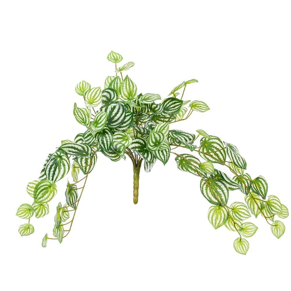 25" Artificial Green Watermelon Peperomia Spray