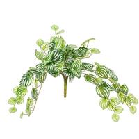 Vickerman 25" Artificial Green Watermelon Peperomia Spray