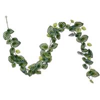 Vickerman 72" Green Watermelon Peperomia Artificial Garland