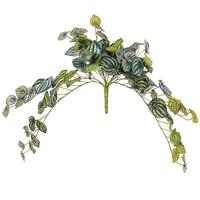 Vickerman 25" Artificial Green Piccolo Peperomia Bush 