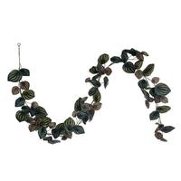 Vickerman 72" Green Peperomia Piccolo Artificial Garland