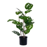 Vickerman 24" Artificial Green Monstera in Black Pot