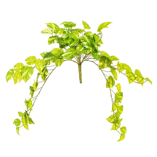 25" Artificial Green Manjula Pothos Bush 
