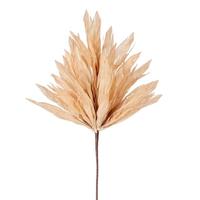 Vickerman 24" Artificial Cream Corn Husk Spray