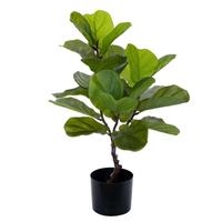 Vickerman 27" Artificial Green Fiddle Leaf Potted Plant 