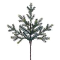 Click to view larger photo