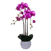 Vickerman 26" Dark Purple Orchid Artificial Floral Arrangement