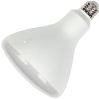 R40 LED Light Bulbs
