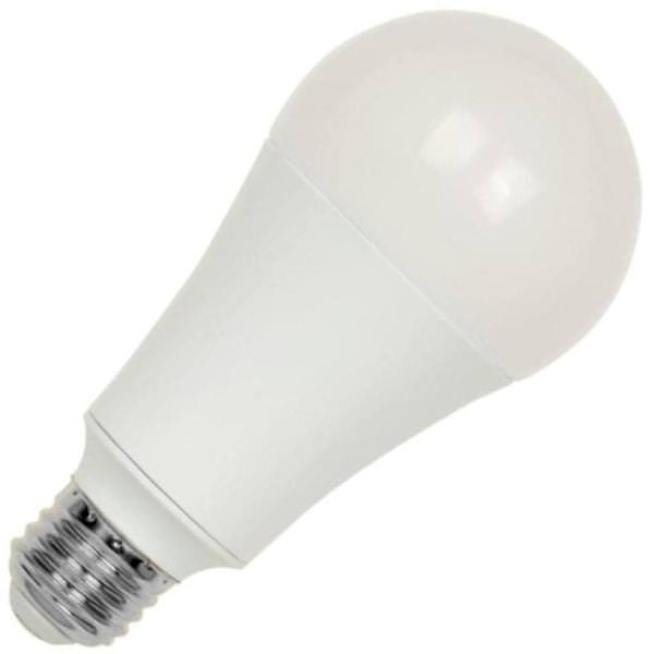 25 watt 120/277 volt Omni A21 Medium Screw Base 5000K Daylight LED