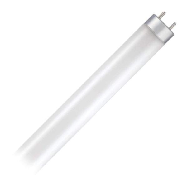 12 watt 48" T8 Medium Bi-Pin Base 4000K Cool White Dimmable LED