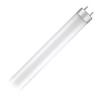 Westinghouse 12 watt 48" T8 Medium Bi-Pin Base 4000K Cool White Dimmable LED