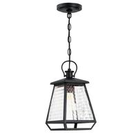 Westinghouse 1 Light Black Outdoor Pendant Fixture