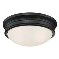 View 2 Light Matte Black Flush Ceiling Light Fixture