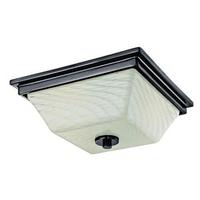 View 2 Light Indoor Flush Ceiling Fixture