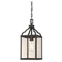 Westinghouse 1 Light Oil Rubbed Bronze Outdoor Pendant Fixture