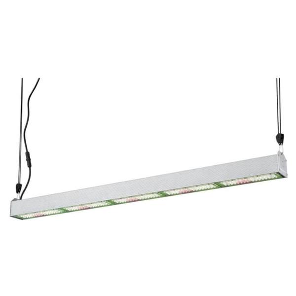 56" 250 watt 100/277 volt 3900K LED Horticultural Fixture