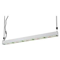 Westinghouse 56" 250 watt 100/277 volt 3900K LED Horticultural Fixture