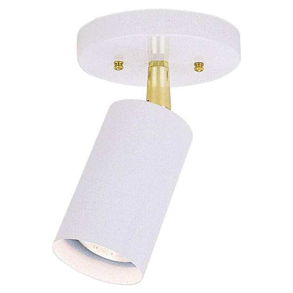 1 Light White Ceiling Light Fixture