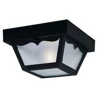 Westinghouse 1 Light Black Outdoor Light Fixture