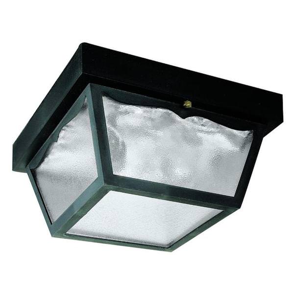 2 Light Black Clear Textured Glass Panels Outdoor Light Fixture