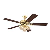View 42" Polished Brass Indoor Reversible 5 Blade LED Ceiling Fan