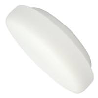 View Replacement Glass for Cayuga Fan