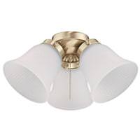 Westinghouse 3 Light Polished Brass Fitter Glass Shade LED Ceiling Fan Light Kit