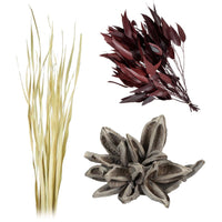 Dried and Preserved Foliage